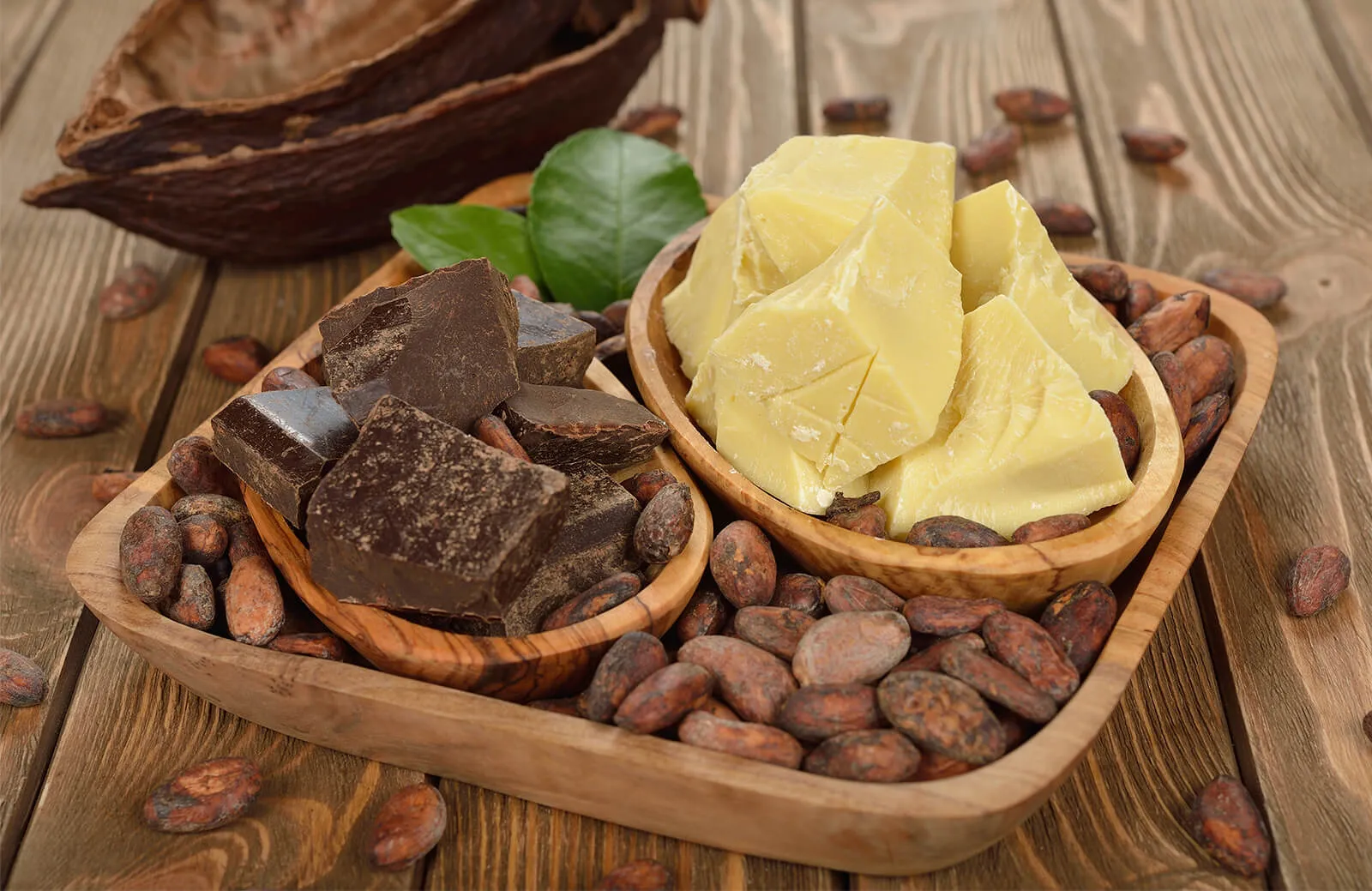 Cocoa Butter Substitute (CBS)