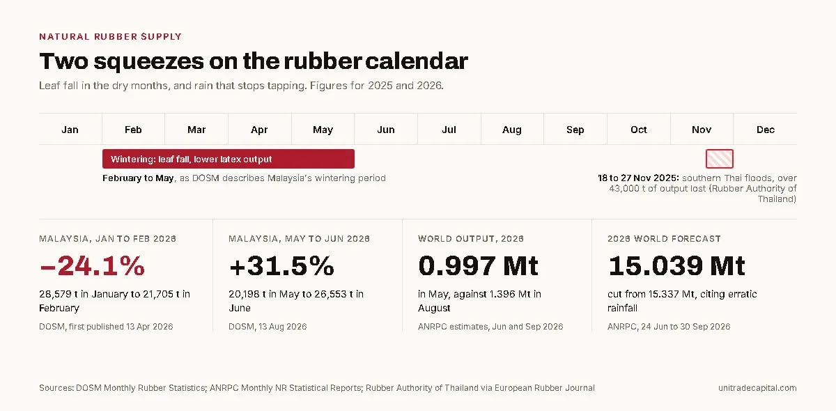 Seasonal calendar of natural rubber supply, January to December. A band marks the wintering season from February to May, when rubber trees shed their leaves and latex output falls, and a marker in late November shows the 2025 floods in southern Thailand, when the Rubber Authority of Thailand estimated that over 43,000 tonnes of production was lost between 18 and 27 November. Below, four figures: Malaysian output fell 24.1% from 28,579 tonnes in January 2026 to 21,705 tonnes in February 2026; it rose 31.5% from 20,198 tonnes in May 2026 to 26,553 tonnes in June 2026; ANRPC estimated world output at 997,000 tonnes in May 2026 and 1.396 million tonnes in August 2026; and ANRPC cut its 2026 world production forecast from 15.337 million tonnes in June 2026 to 15.039 million tonnes in September 2026.