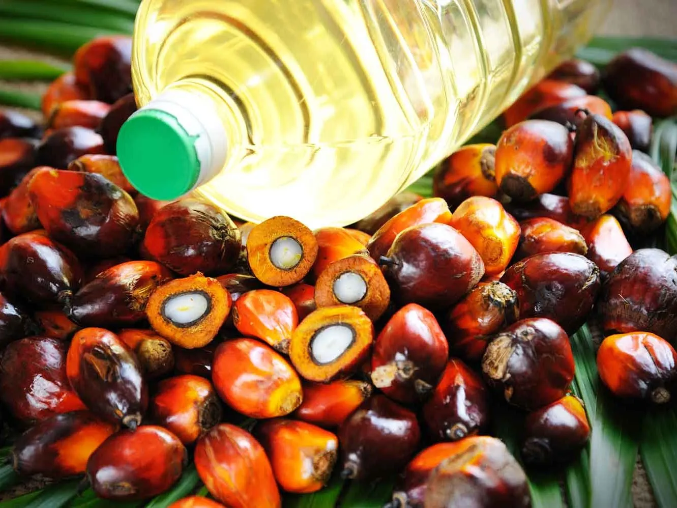 Palm Oil